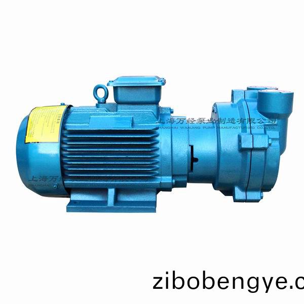 2BV2070型水環(huán)(huan)式(shi)真(zhen)空(kong)泵(beng)