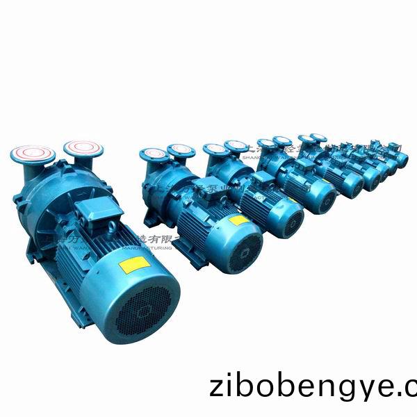 2BV型水環(huán)式(shi)真空(kong)泵