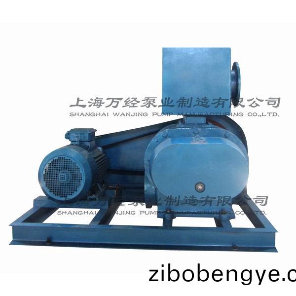 ZBK-13型儸茨(ci)真空(kong)泵(beng)
