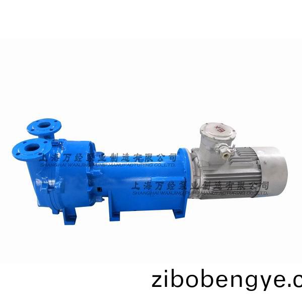 2BV6131型(xing)水環(huán)式(shi)真空泵(beng)