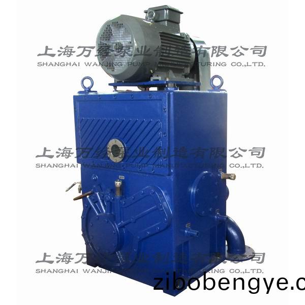 2H滑(hua)閥式(shi)真(zhen)空泵