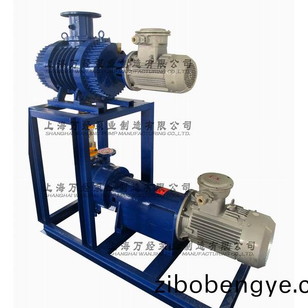 JZJ2B300+2BV6131型(xing)水(shui)環(huán)(huan)儸茨真空(kong)泵(beng)機(jī)組(zu)