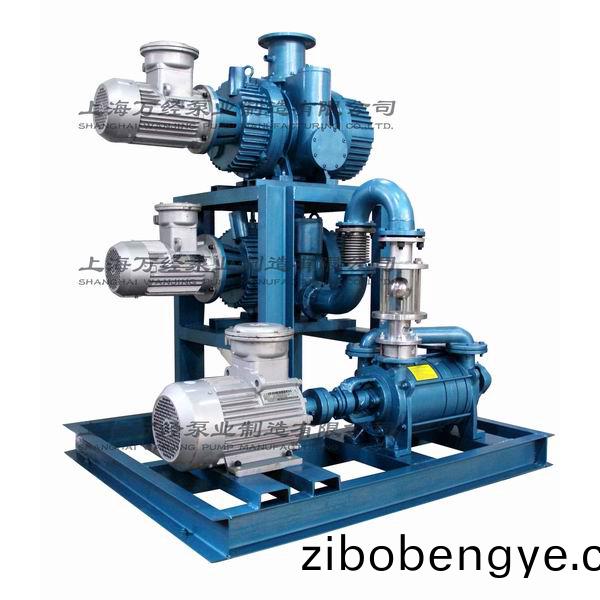 JZJ2S型(xing)水(shui)環(huán)(huan)儸茨(ci)真空泵機(jī)(ji)組