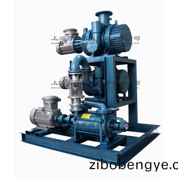 JZJ2S300+150+2SK3型水環(huán)(huan)儸茨真空(kong)泵機(jī)組