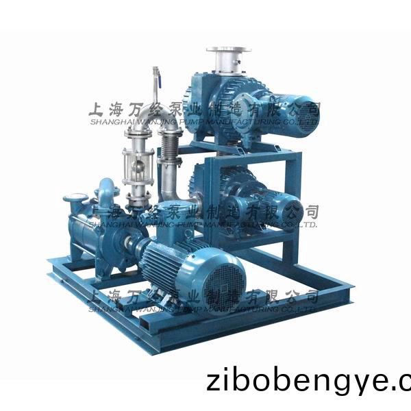 JZJ2S600+300+2KS-12型水環(huán)(huan)儸(luo)茨真空(kong)泵(beng)機(jī)(ji)組