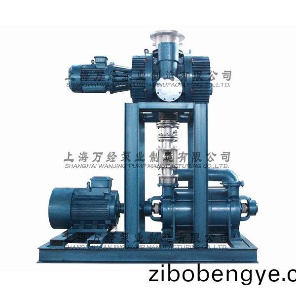 JZJ2S600+2KS-12型(xing)水(shui)環(huán)(huan)儸(luo)茨真空泵機(jī)組