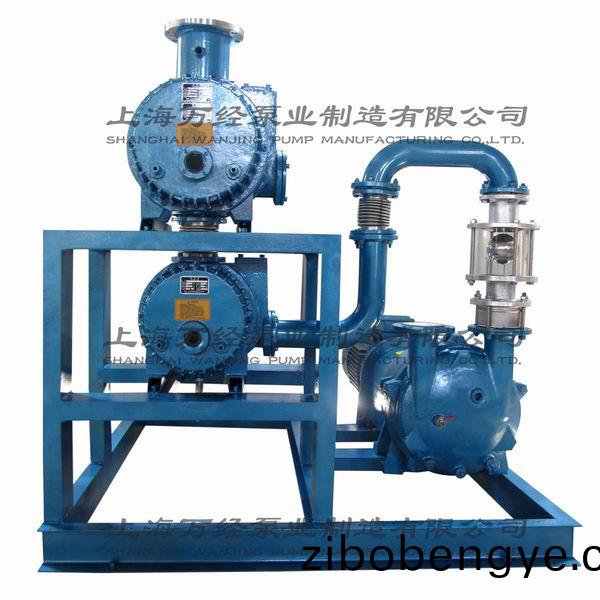 JZJ2B600+300+6131型水環(huán)儸茨真空(kong)泵(beng)機(jī)組(zu)