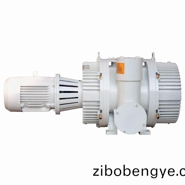 ZJP型(xing)儸茨(ci)真(zhen)空(kong)泵