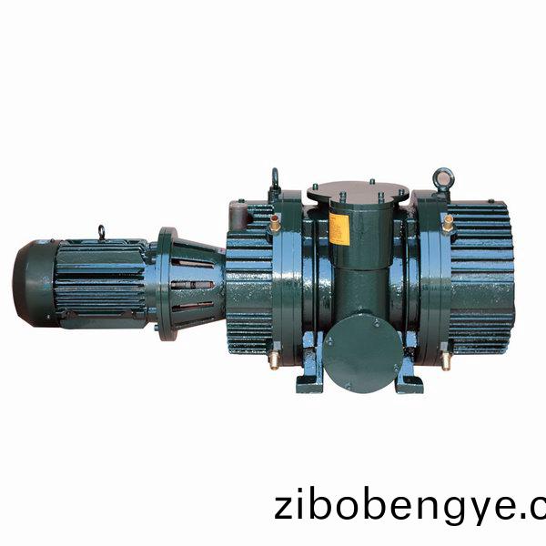 ZJ型(xing)儸茨真空泵(beng)